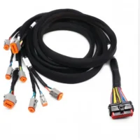 Oem Cable Customized Automotive Wire Harness Power Distribution Wiring Harness Made According to Requirement