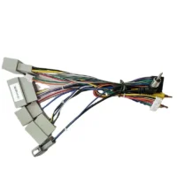 Custom OEM ODM Auto Wiring Harness Audio Video Cable Speaker Adapted Car Audio Video System