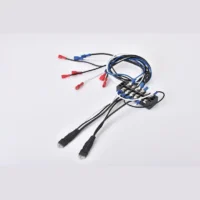 Professional Cable Assembly Manufacturer Top Sell Wire Harness for Electric Appliance