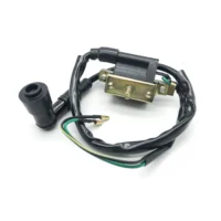 70cc-125cc Ignition Coil With Lead ATV Wiring Harness Cable Assembly for ATV Dirt Bike Quad Go Kart Motorcycle Wire Harness