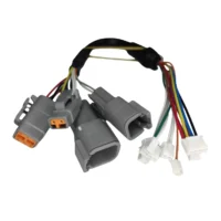 OEM Custom Wiring Harness DEUTSH DTM04-2P Factory Auto Parts for Electronic Applications