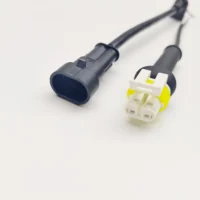 AMP 1.5 Series Connector 1 2 3 4 5 6pin Waterproof Wire Harness 1745083-1 Connector Female Waterproof Auto Wire Harness