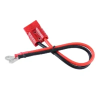 Oem Cable Power Wiring Harness 50A 75A 125A Connector Automotive Battery Automotive Wiring Harness