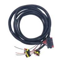 Manufacturing Auto BMS Wire Loom Harness Kits Custom ECU ECM Automotive Sensor Wiring Harness