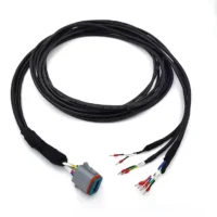 OEM Wiring Harness Custom New Energy Storage Waterproof Mphenol AT06-12SA Corrugated Tube