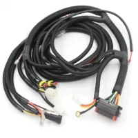 Custom Automotive Wiring Harness Truck Fule Injector LS Wire Vehicles Auto Engine Wiring Harness