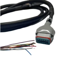 OEM Wiring Harness CustomDEUTSH AT06-12S Waterproof Control Cable for Automotive Equipment