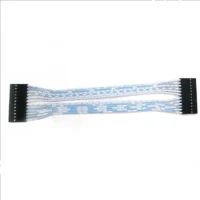 Custom 2.54mm 12 PIN Connector Female to Female Flat Ribbon Cable Wiring Harness Assembly Dupont Connector